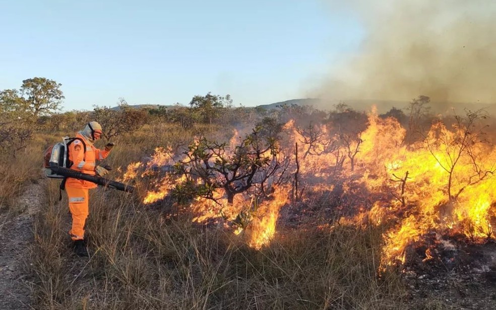 Incêndio queima vegetação em área dos Cânions, em São João Batista do Glória, MG — Foto: Corpo de Bombeiros