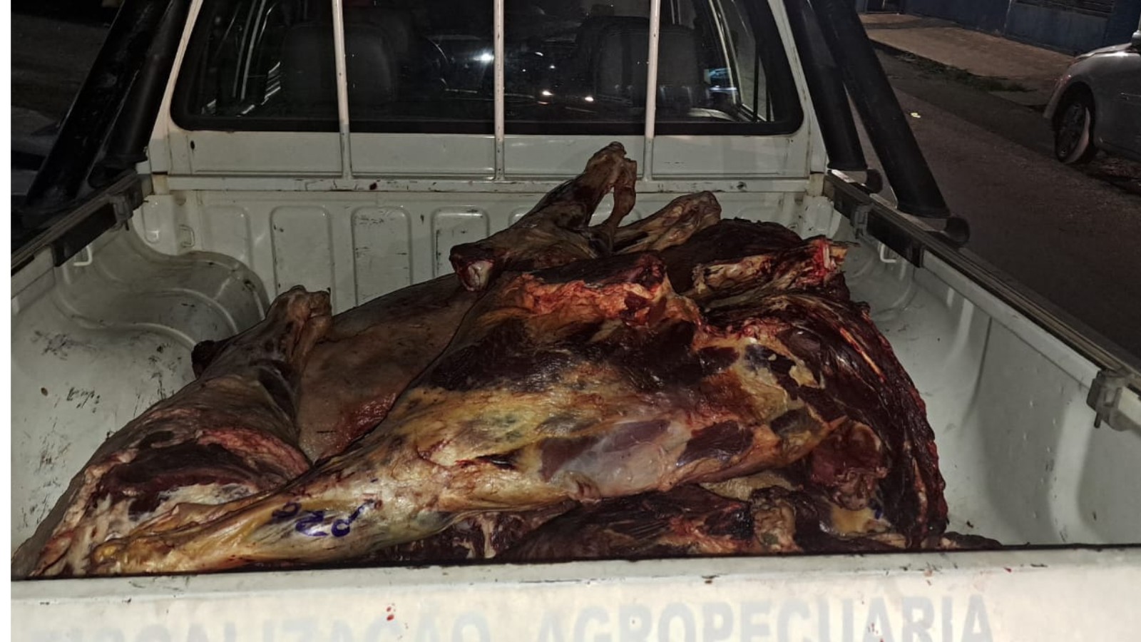 Mais de 200 kg de carne bovina clandestina são apreendidos em Teresina
