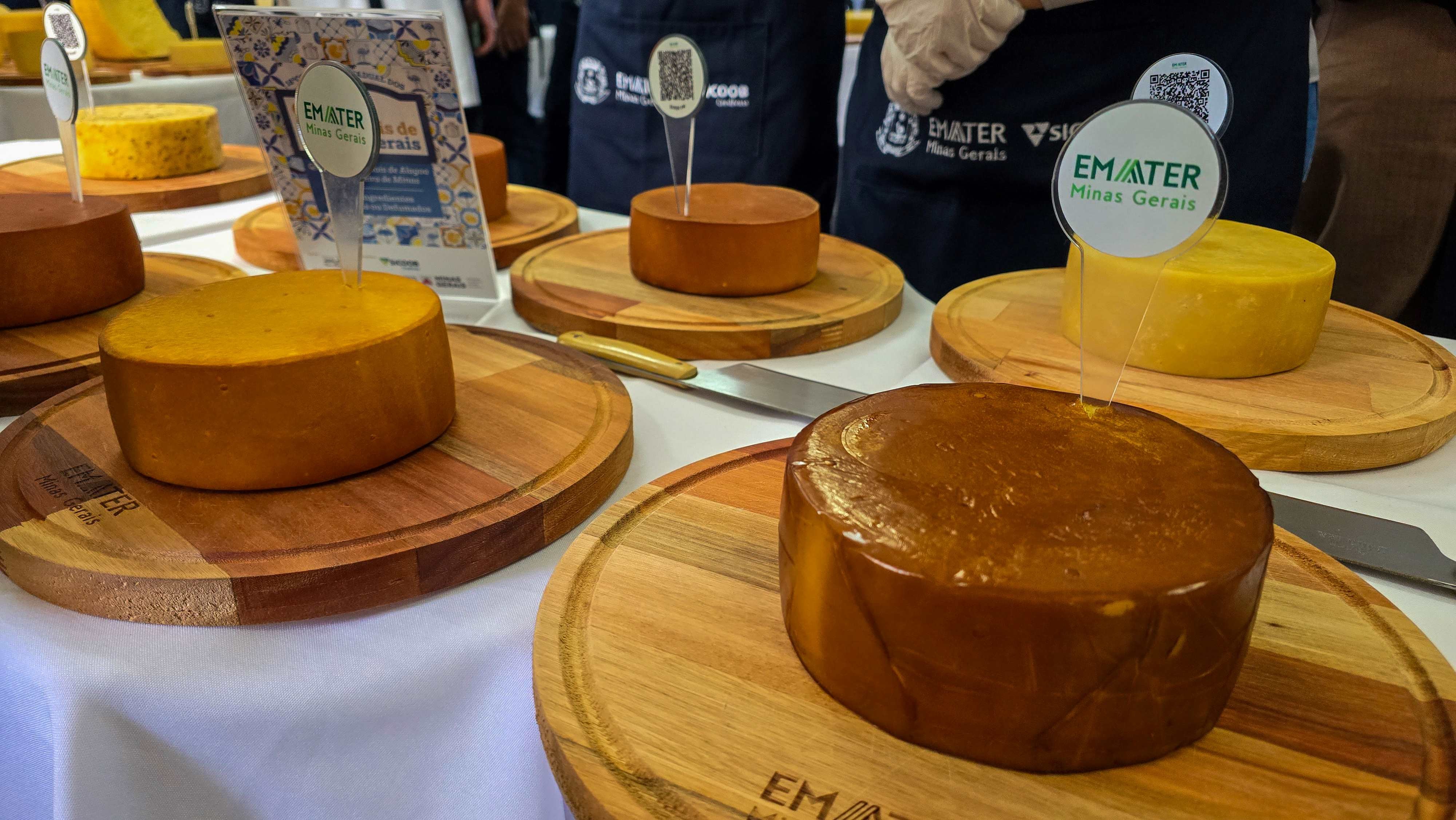 Queijos artesanais de Aiuruoca, Araxá, Itamonte e São Roque são eleitos os melhores de MG