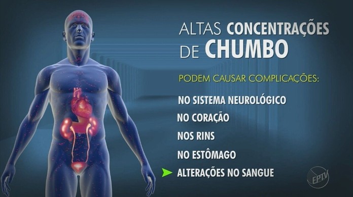 Estudo da USP comprova que leite reduz o nível de chumbo no corpo humano