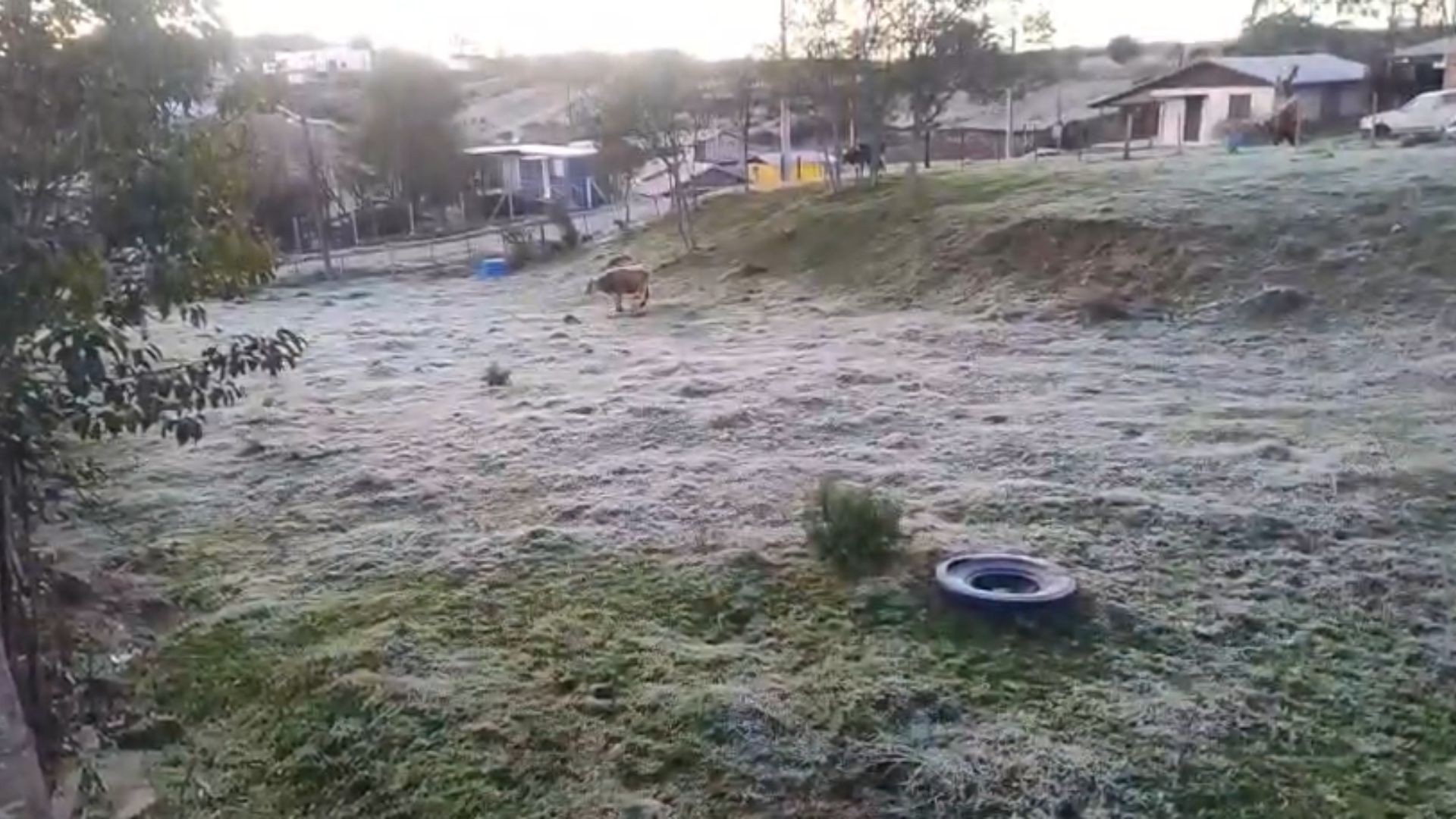 -1,9°C na Serra: ar polar derruba temperaturas e RS volta a registrar mínima negativa; confira a previsão