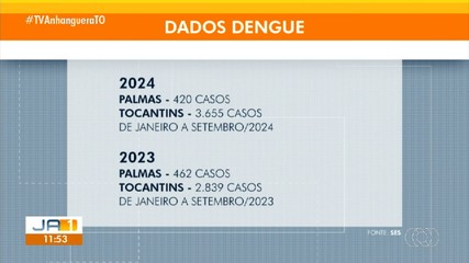 Combate ao mosquito da dengue é intensificado em Palmas com início das chuvas