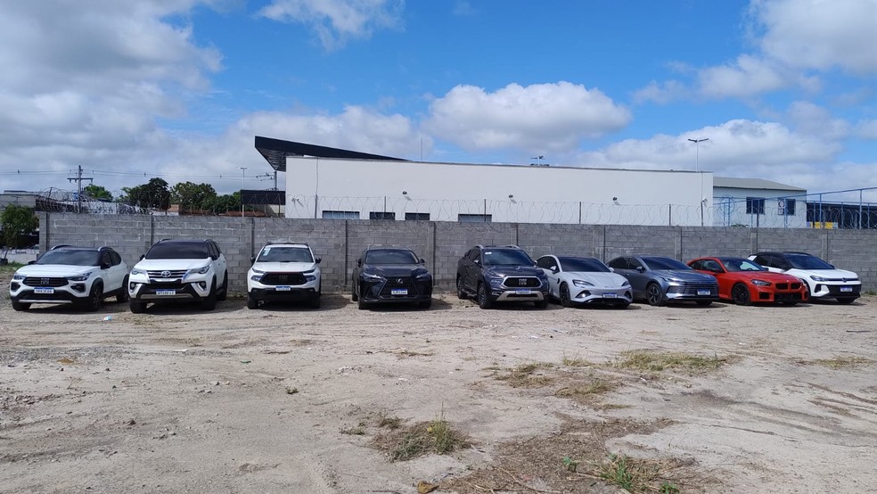 Doze carros de luxo foram apreendidos durante a ação — Foto: Polícia Civil