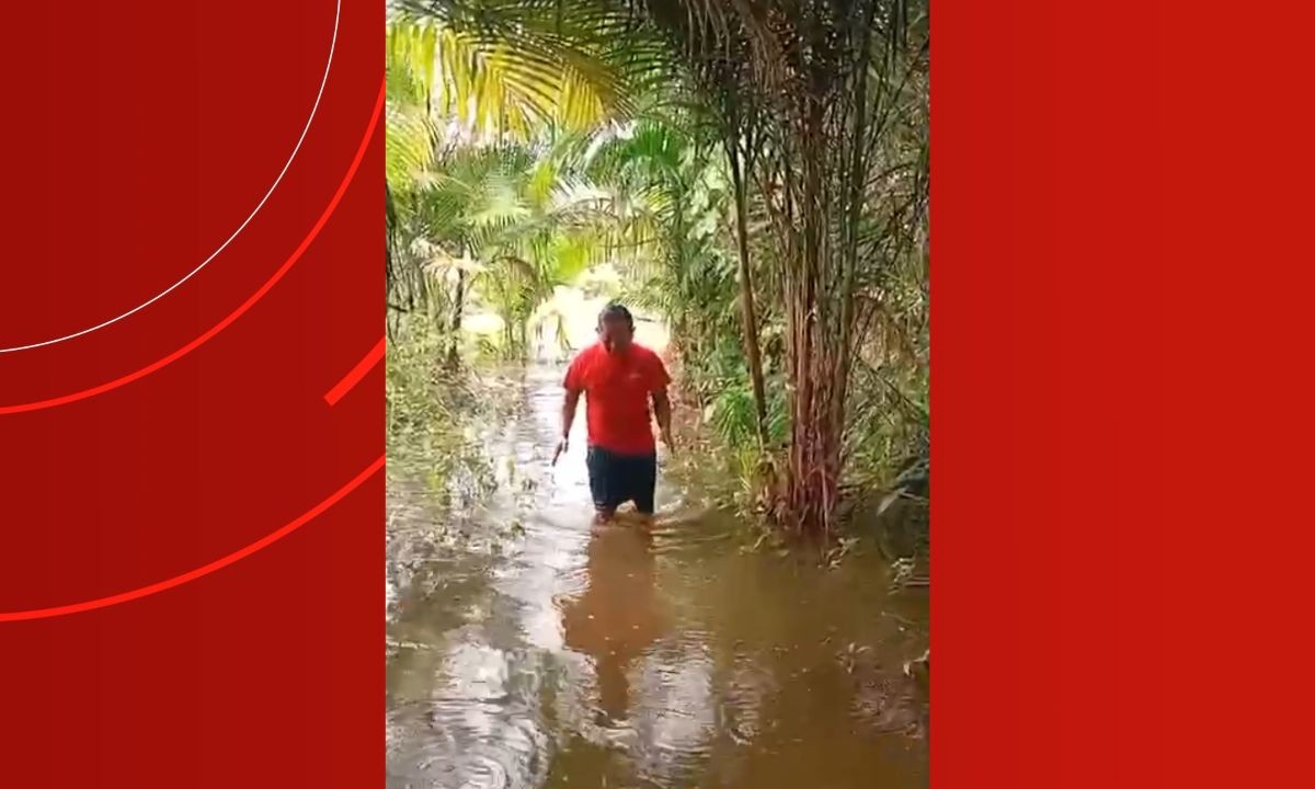 Enchente destrói plantações e leva ajuda humanitária a indígenas Yanomamis no Amazonas