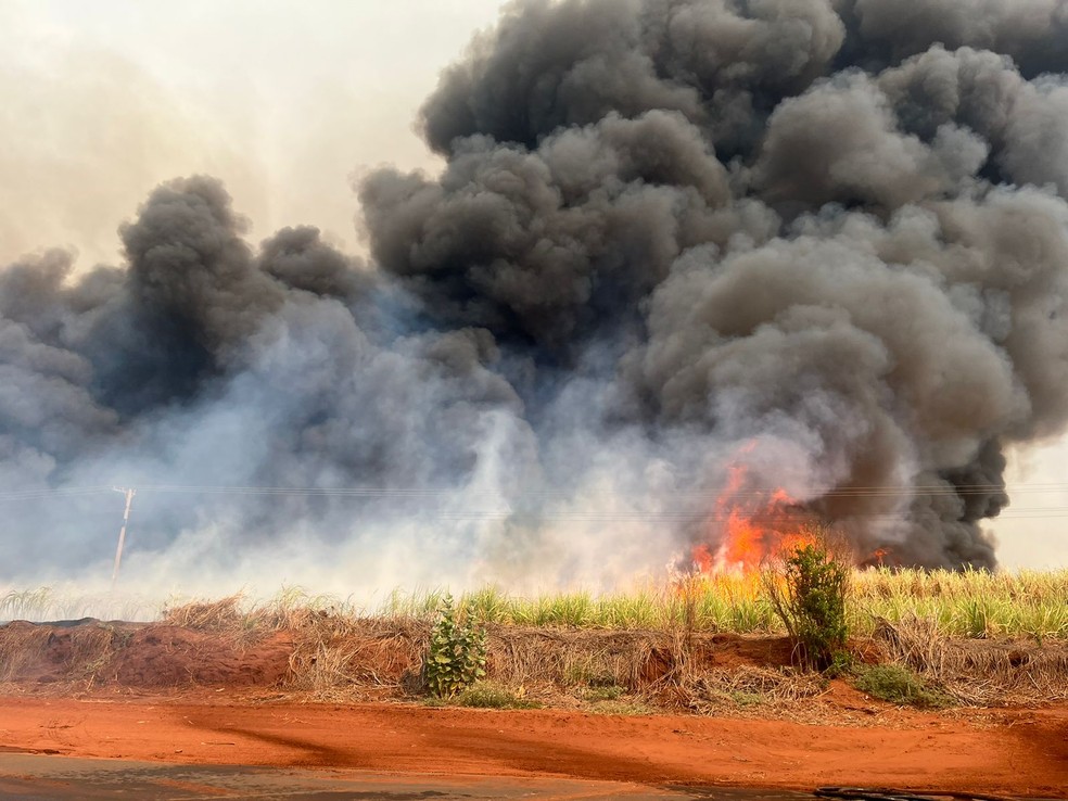 Incêndio em Itapura (SP) — Foto: Divulgação / Corpo de Bombeiros