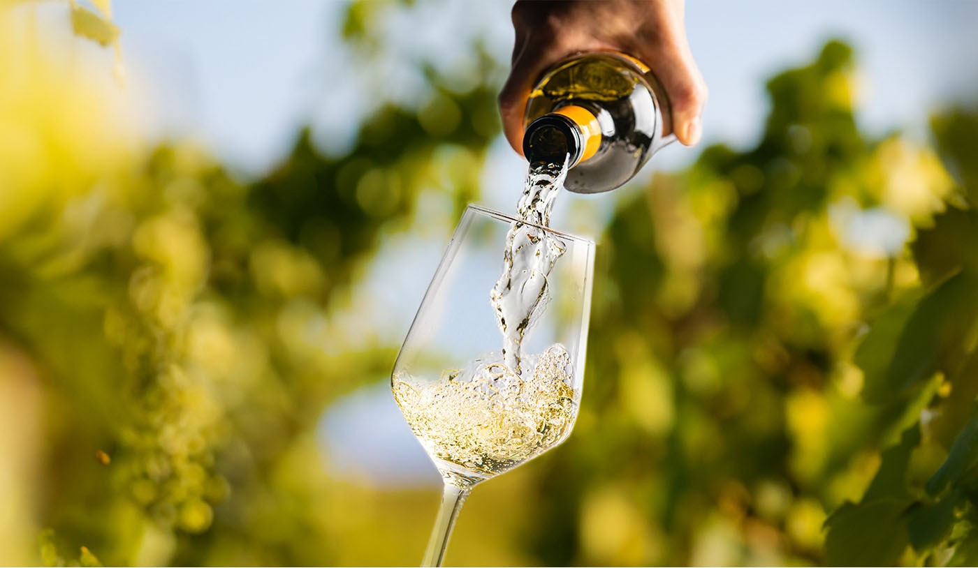 Como identificar um vinho Sauvignon Blanc às cegas
