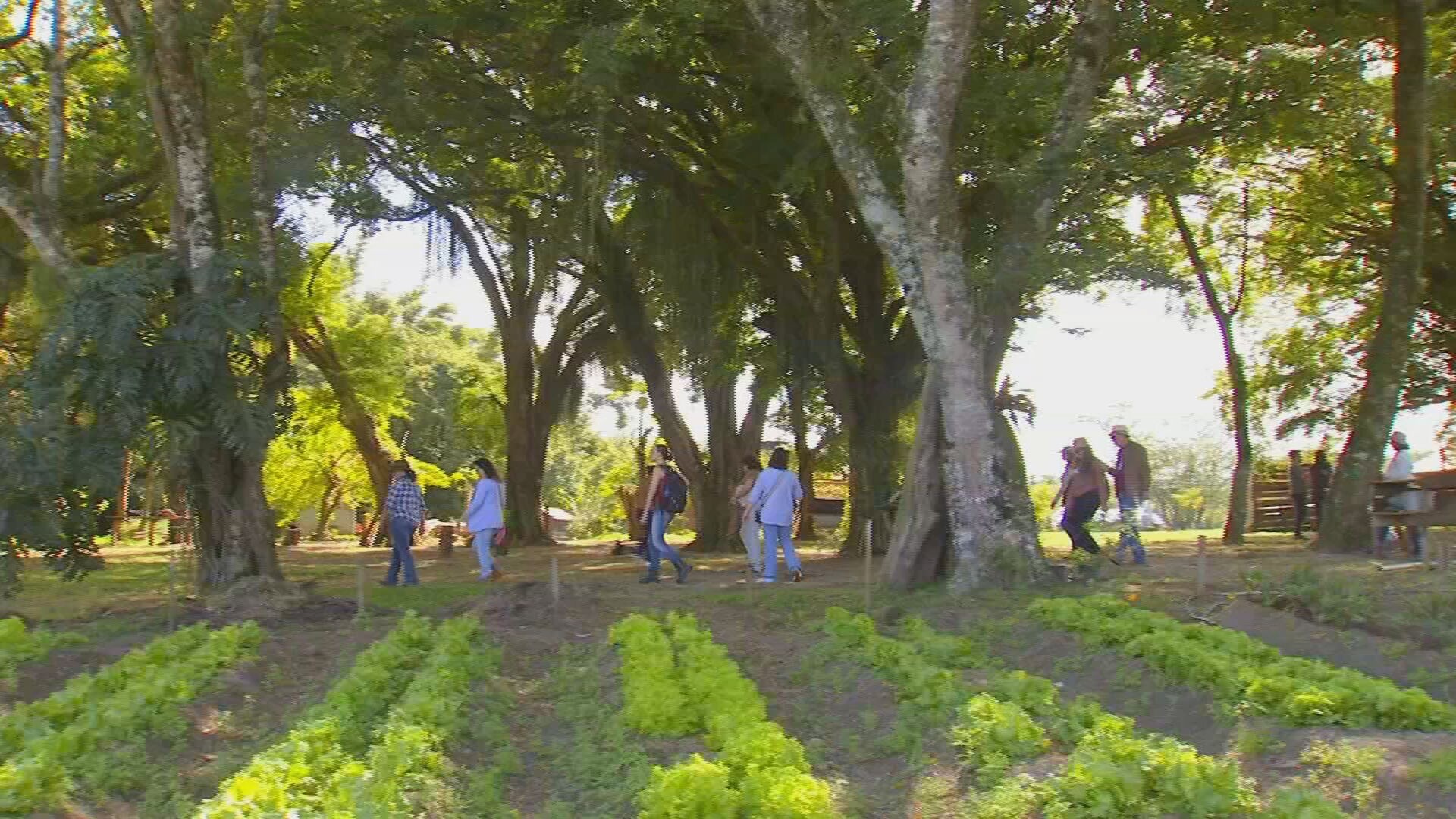 Região de Itapetininga promove contato com a natureza através do turismo rural
