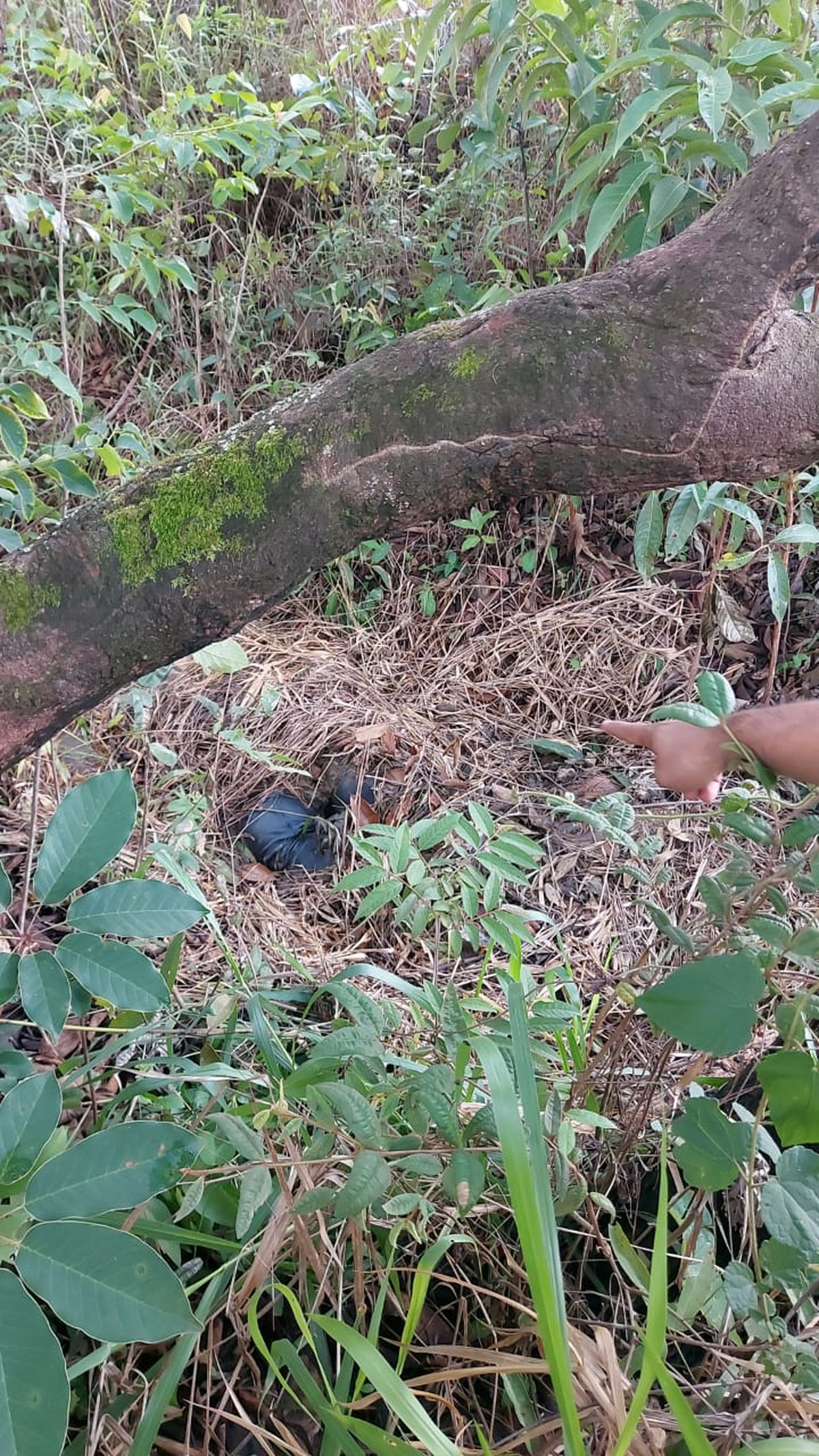 Mãe e filha que haviam desaparecido no Sol Nascente, no DF, foram mortas a facadas | Distrito Federal
