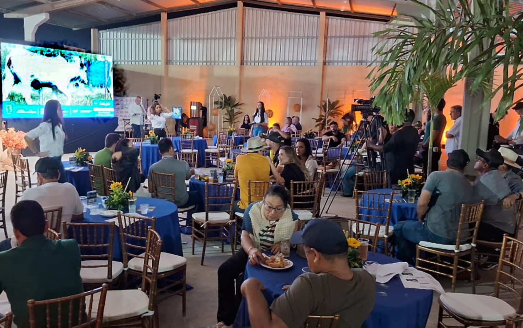 Expofeira de Feira de Santana terá leilões de cavalos e bovinos; confira datas