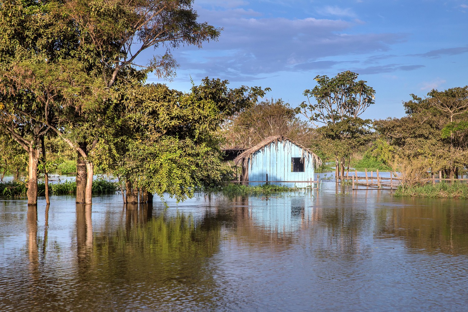 Exposição 'Rio que Alimenta' reúne fotografias sobre a relação entre comunidades e os rios em Santarém