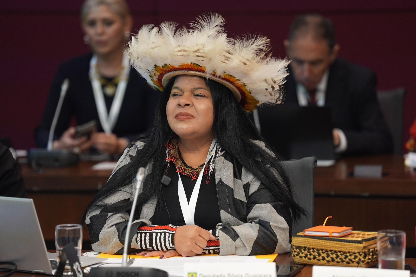 Sonia Guajajara é eleita copresidenta de grupo parlamentar das Américas; deputada é a 1ª indígena brasileira a coordenar rede