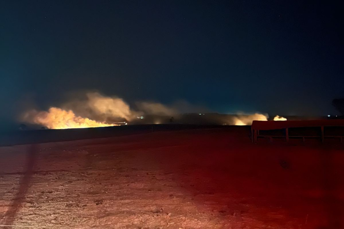 Incêndio em área de preservação mobiliza bombeiros, Defesa Civil e funcionários de fazenda em Mirante do Paranapanema