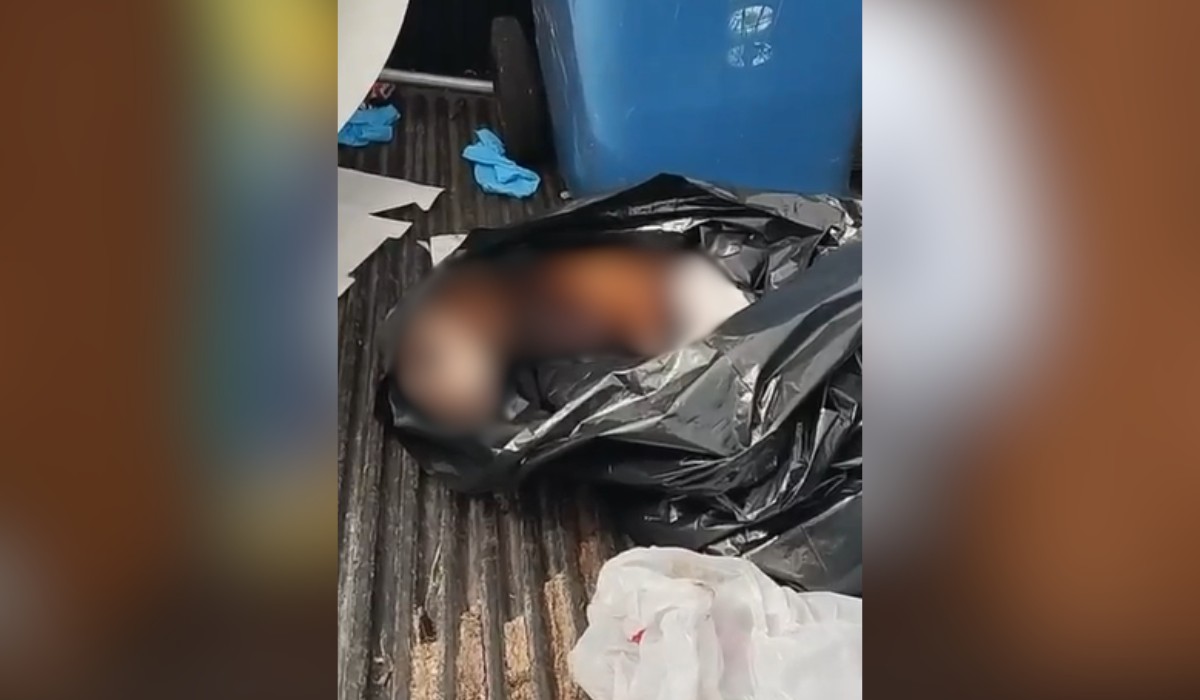 Polícia Ambiental investiga abandono de cachorro encontrado em estado grave dentro de saco de lixo no interior de SP