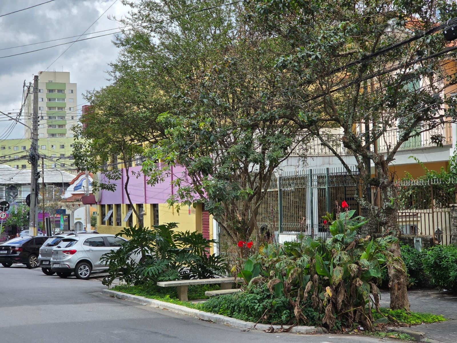 Câmara de SP aprova projeto que cria 'vagas verdes' para trocar estacionamento por canteiros de árvores