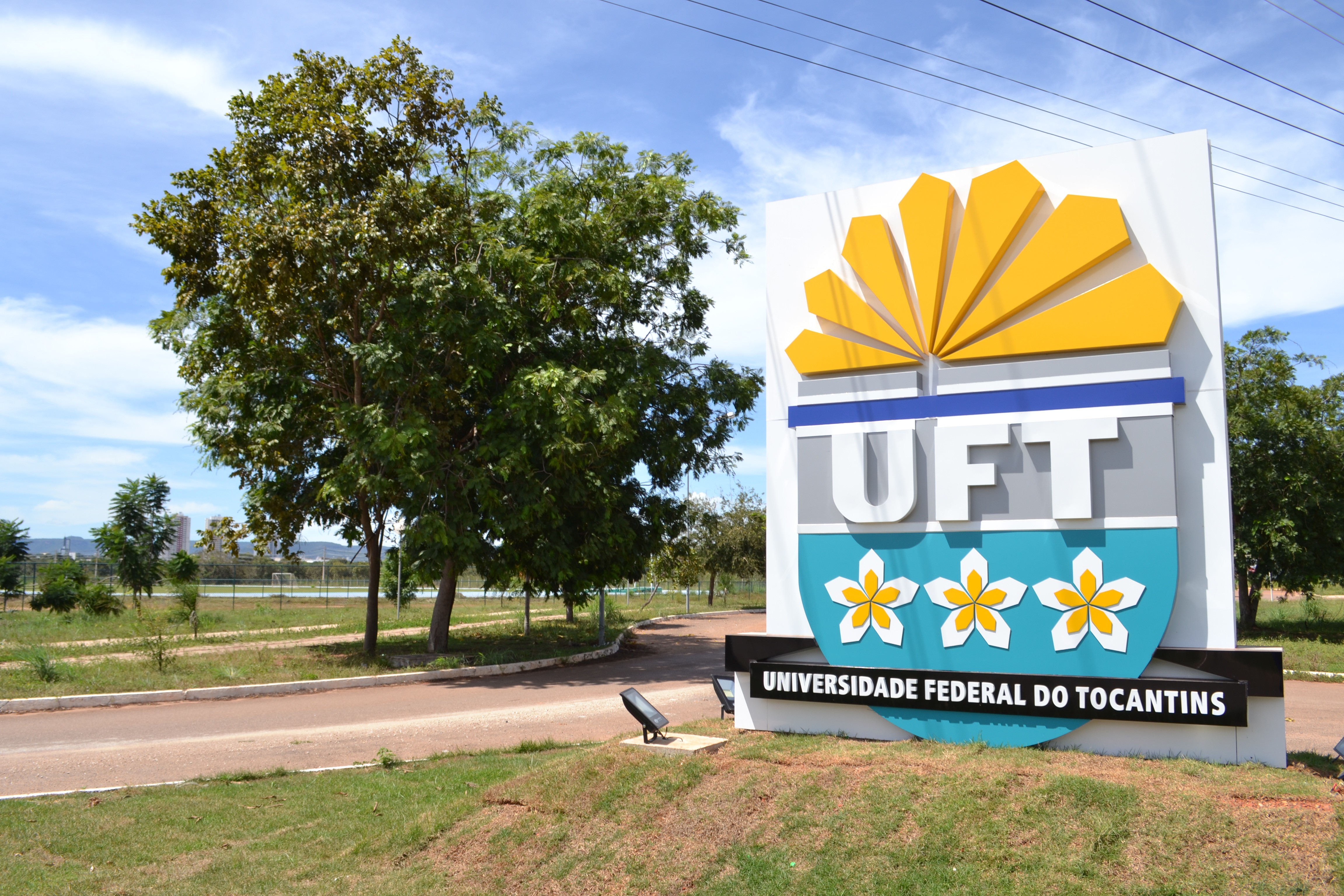 UFT abre edital para cursos de graduação com mais de 700 vagas pelo ...