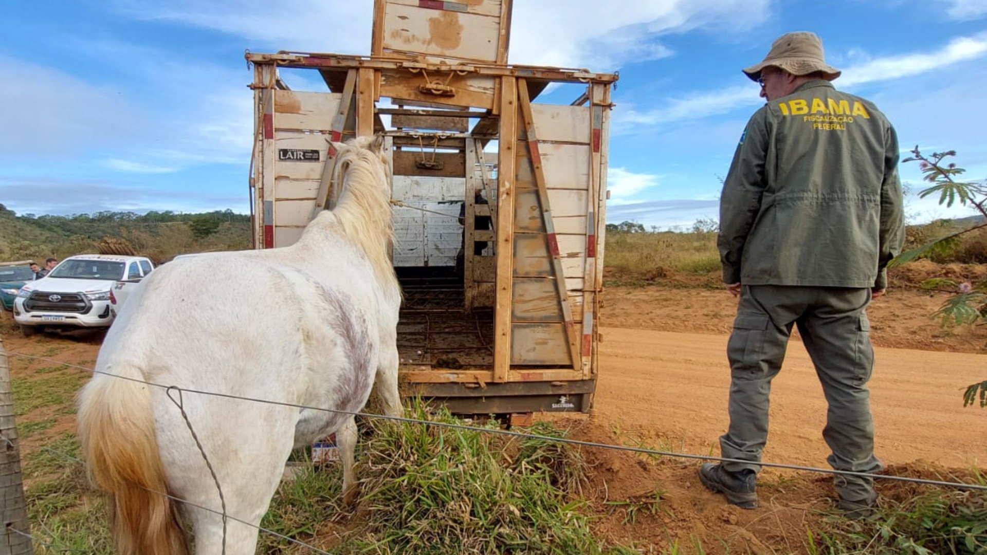 Vinte animais são apreendidos pelo Ibama em área de proteção ambiental em Tapira; proprietários são multados em mais de R$ 45 mil