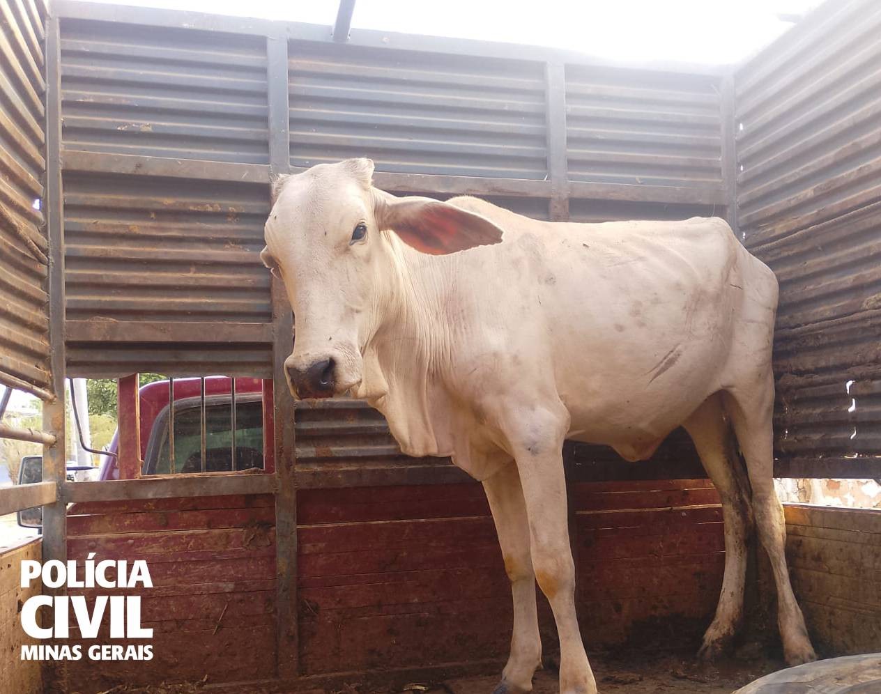 Você Não Tá Convidada pro Meu Bat Mitzvá!