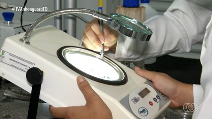 Uso de bioinsumos vem mostrado bons resultados no cerrado