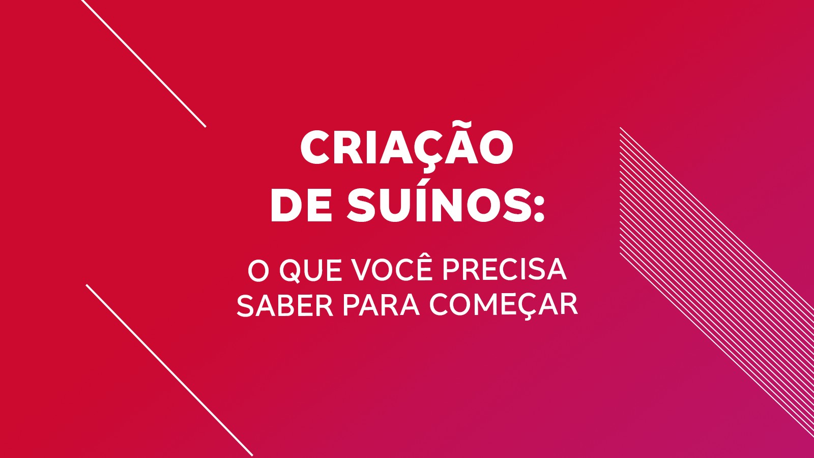 Alto-falante inteligente vale a pena? g1 testa Alexa e Google, Guia de  Compras