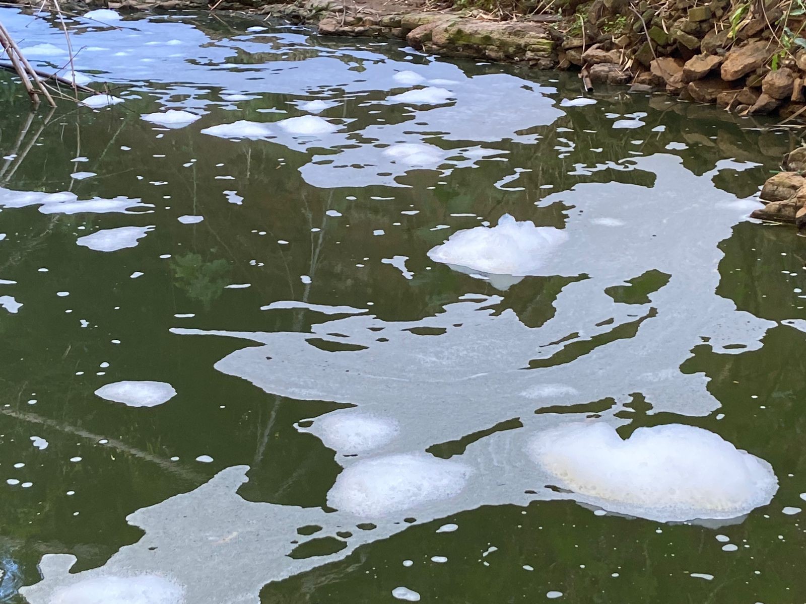 Veja quais são os 19 afluentes do Rio Piracicaba com coliformes fecais acima do permitido