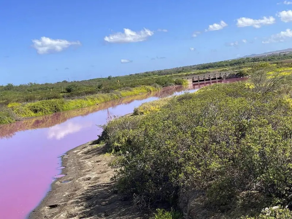 Autoridades no Havaí estão investigando por que o lago ficou rosa, mas há indícios de que a culpa pode ser da seca. — Foto: Leslie Diamond via AP