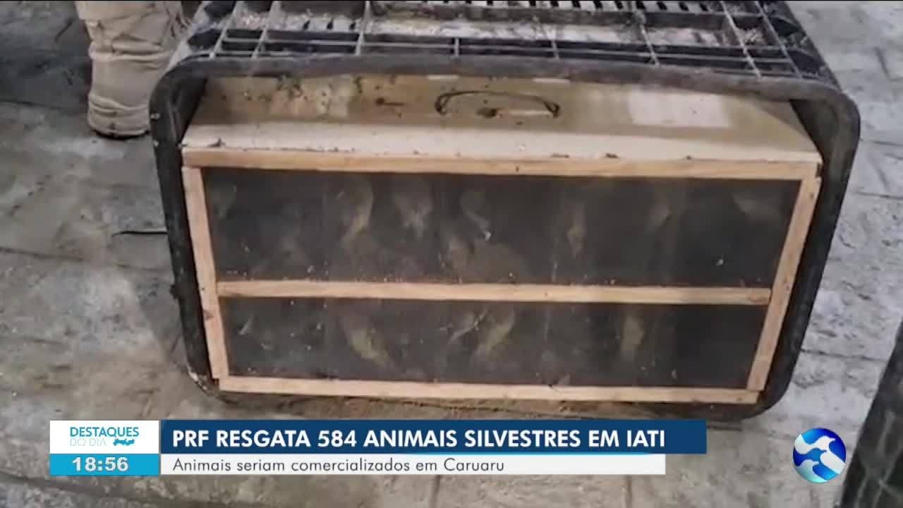 VÍDEOS: AB2 de quarta-feira, 19 de agosto de 2026