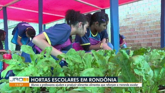 Projeto de horta em escolas incentiva o desenvolvimento de alunos e auxilia na segurança alimentar, em RO - Programa: Jornal de Rondônia 1ª Edição 