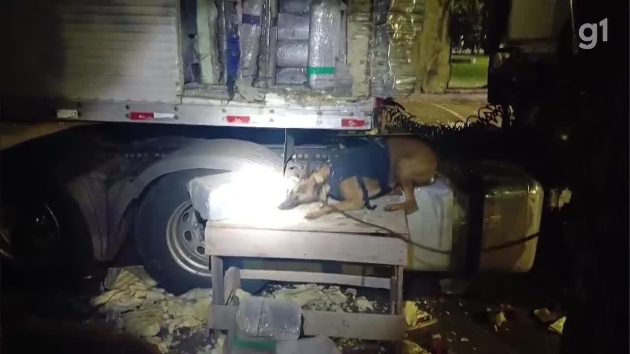 VÍDEO: Cerca de três toneladas de maconha são apreendidas dentro de caminhão na Via Dutra, em Resende 