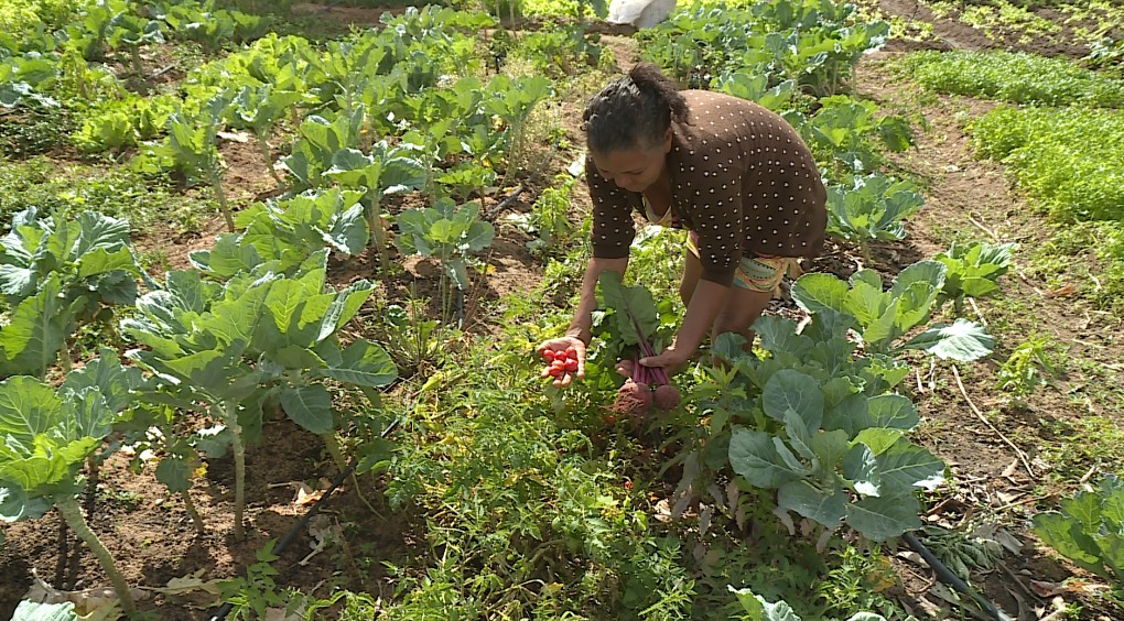 Congresso do Sintraf-Petrolina debate o fortalecimento da agricultura familiar 