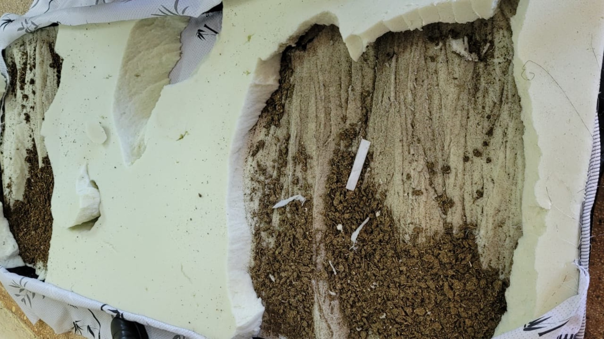 Advogada é presa tentando entrar com colchão recheado de maconha em presídio de Três Lagoas