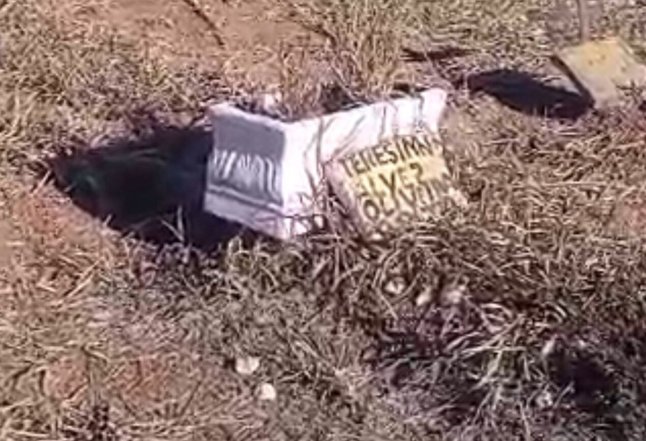 Morador denuncia abandono em cemitério e dificuldade para encontrar jazigos de familiares: 'Tudo parece destruído'