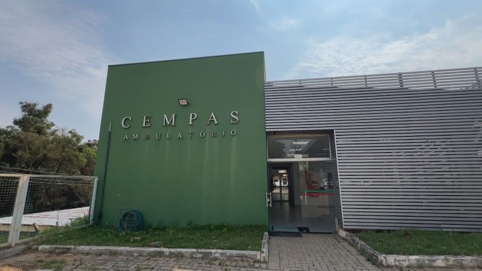 Filhote de onça-parda resgatado em plantação de cana recebe cuidados na Unesp de Botucatu — Foto: Adriano Baracho/TV Tem