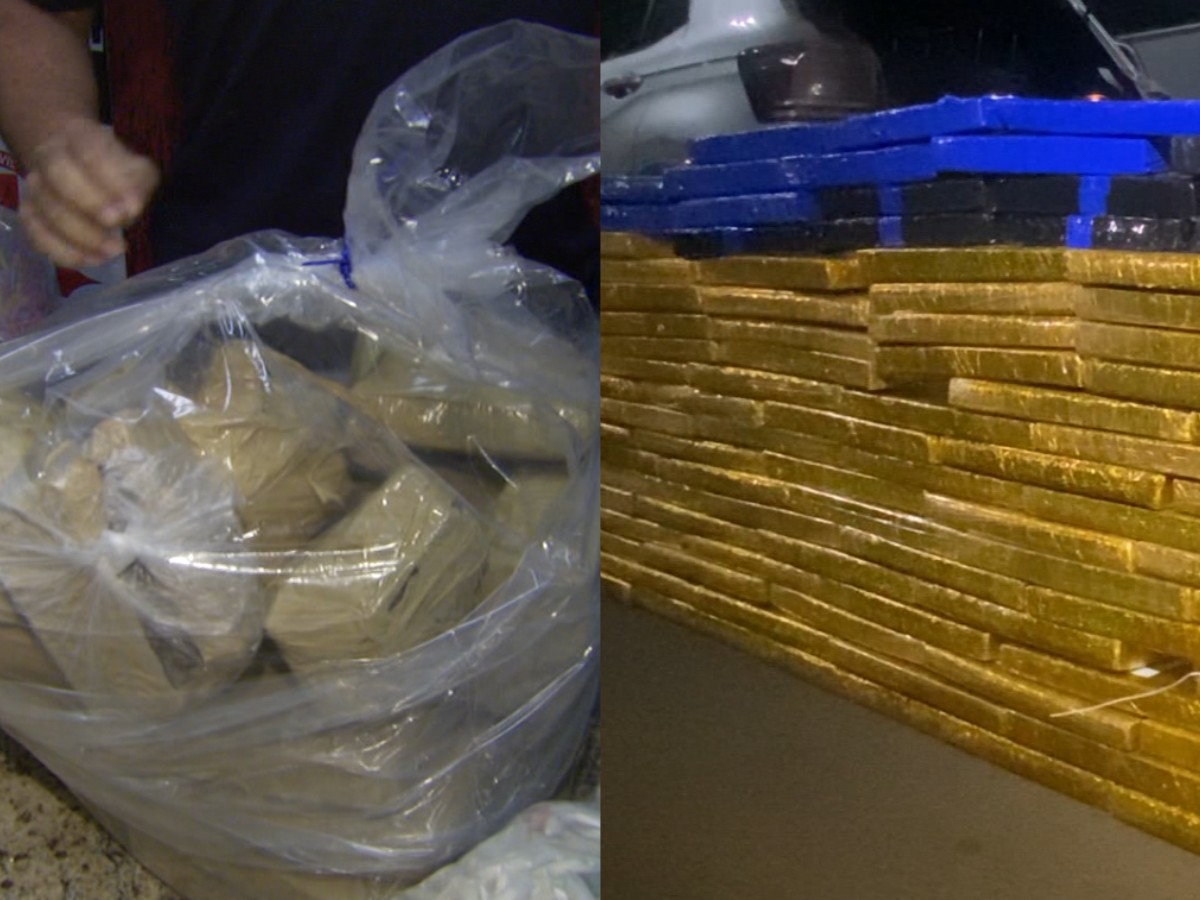 Campinas tem maior número de apreensões de drogas em 15 anos