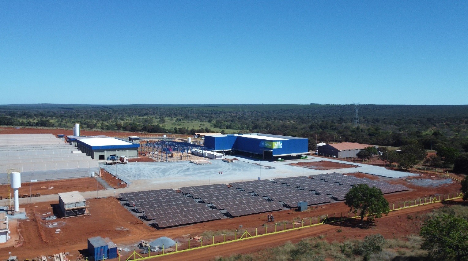 Montes Claros vai produzir combustÃvel sustentável a partir da macaúba
