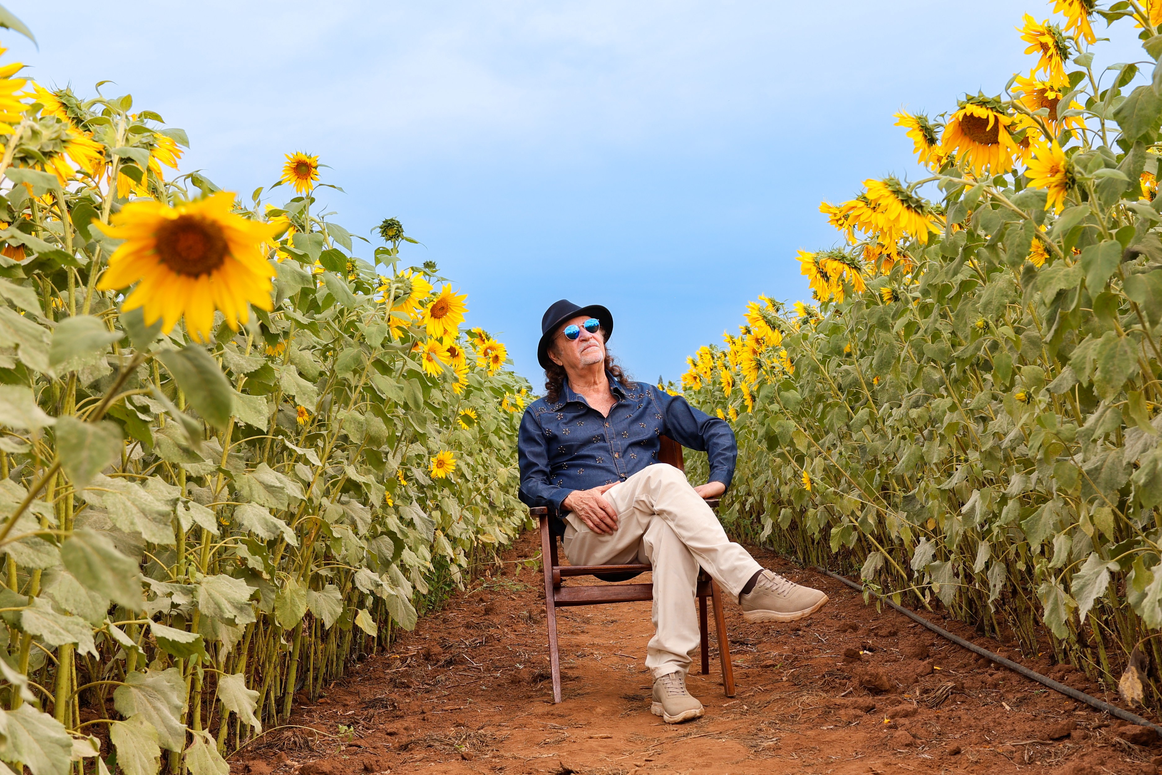 Alceu Valença chega a Florianópolis com '80 Girassóis' e celebra a trajetória musical em turnê: 'Palco é vitamina'
