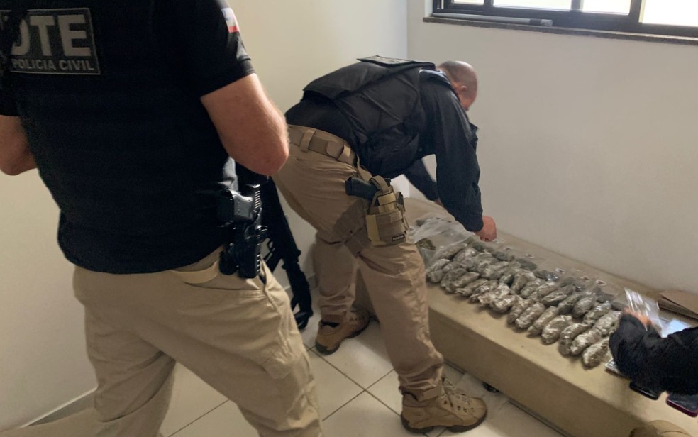 Quatro suspeitos são presos e mais de 80 kg de drogas foram apreendidos na Bahia — Foto: Divulgação/Polícia Civil