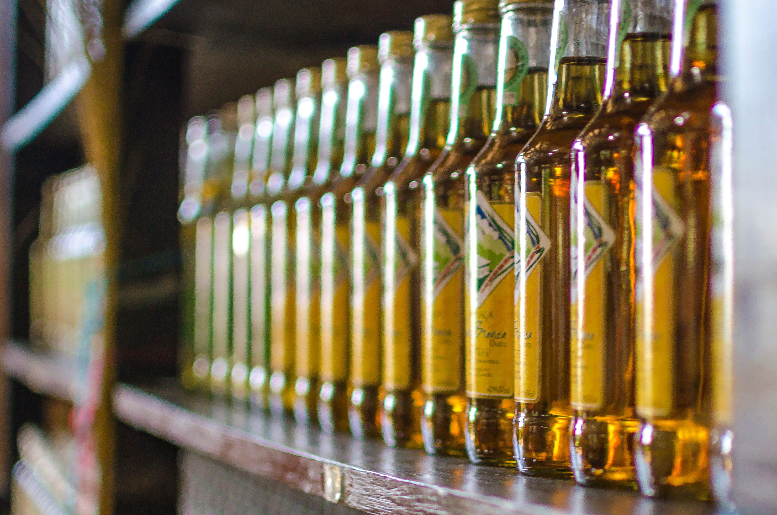 Solo não basta: entenda o que define o terroir da cachaça e por que Paraty se destaca