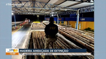PRF apreende 91,7 m³ de madeira ameaçada de extinção em Colinas