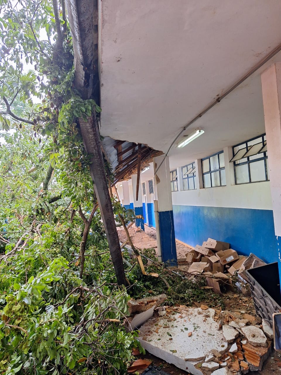 Queda de árvore atinge telhado de escola e aulas são suspensas em Campinas