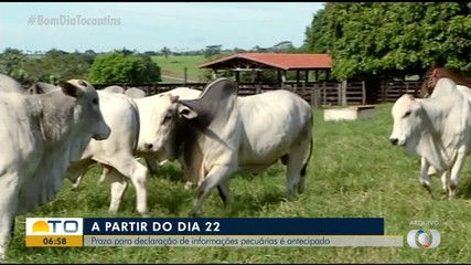 Prazo para declaração de informações pecuárias é antecipado para 22 de abril