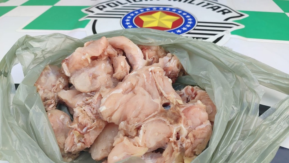 Idoso é multado por armazenar carne de jacaré, em Adamantina (SP) — Foto: Polícia Ambiental
