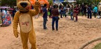 'Caminhada do Amicão' reúne famílias e animais de estimação em Vassouras; veja fotos — Foto: Divulgação/TV Rio Sul