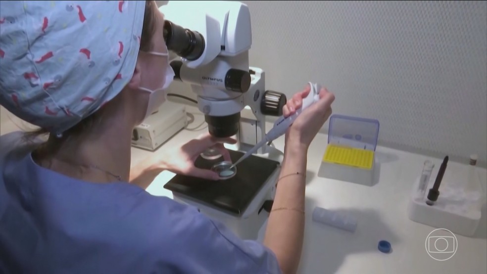 Técnica de fertilização que envolve DNA de 3 pessoas gera bebês livres de doenças hereditárias sem cura — Foto: Jornal Nacional/ Reprodução