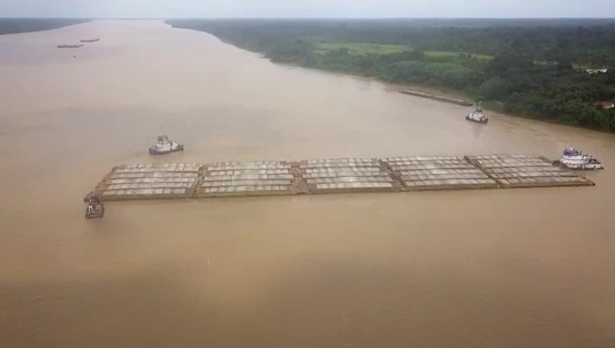 VIDEO shows convoy of 30 barges loaded with soybeans crossing the Madeira River