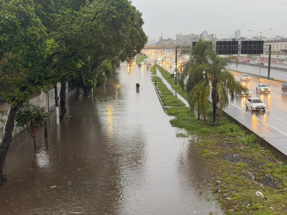 Via Dutra sentido São Paulo, pista local, na Vila Maria — Foto: William Santos/TV Globo
