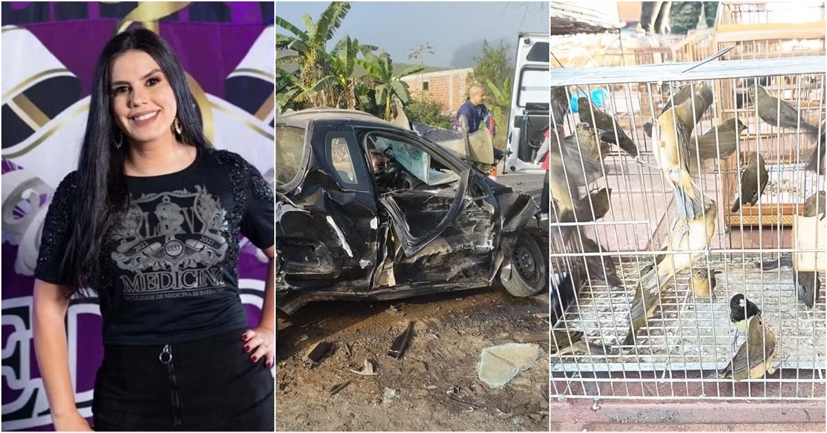 Você viu? Estudante de medicina morta a facadas, operação apreende 150 aves silvestres e homem morre  a caminho do trabalho na BR-267 