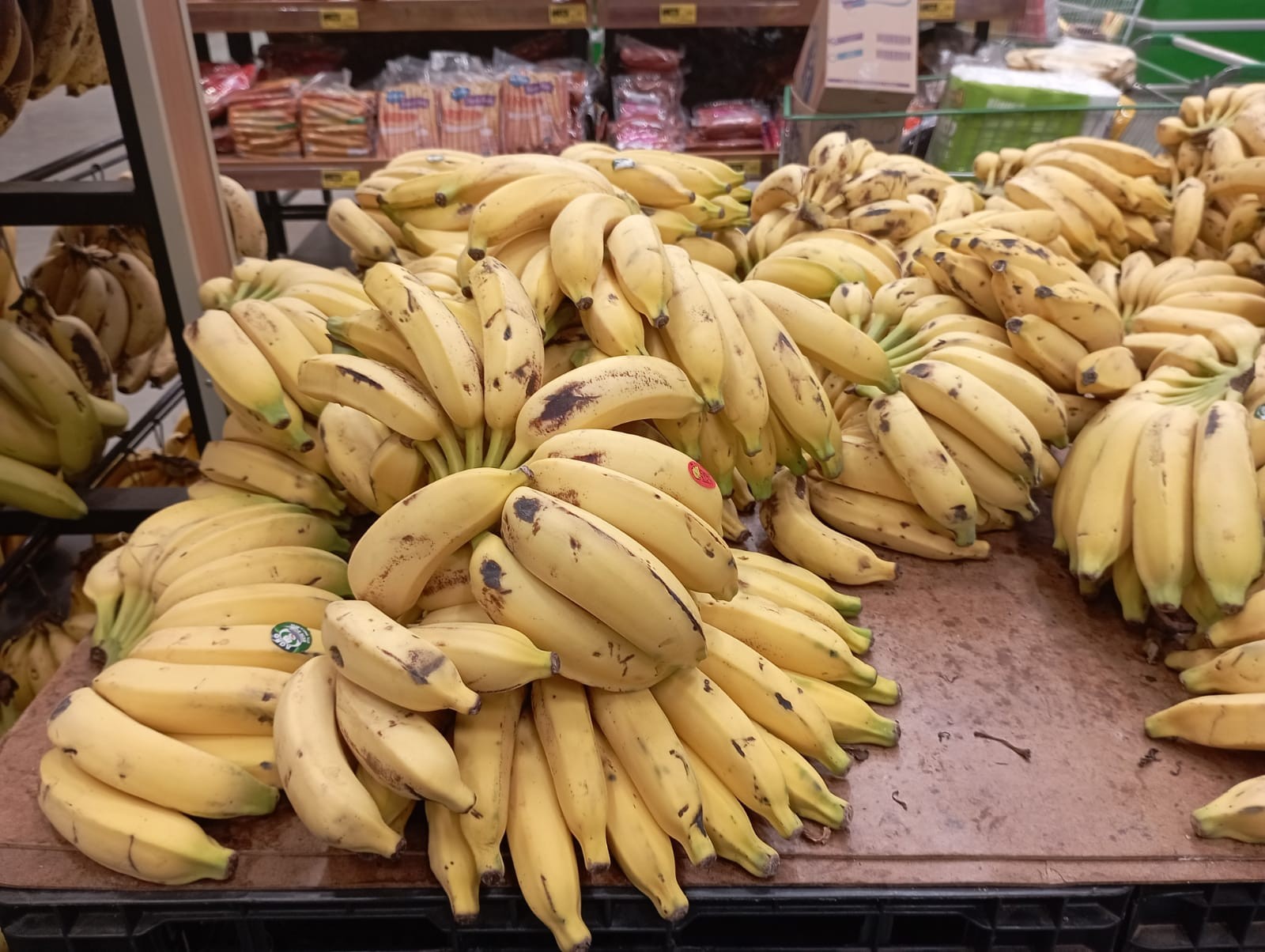 Estudo prevê 'crise' no cultivo de banana: fruta 'símbolo' de comida barata pode deixar de ser acessível