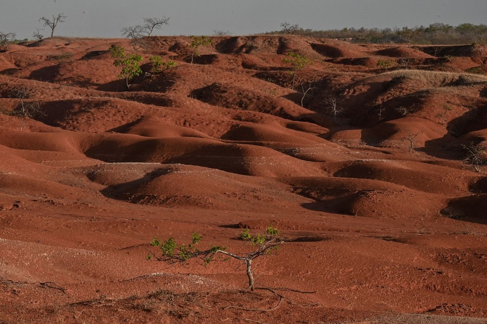Desertificação em Gilbués, no Piauí — Foto: Nelson Almeida/AFP