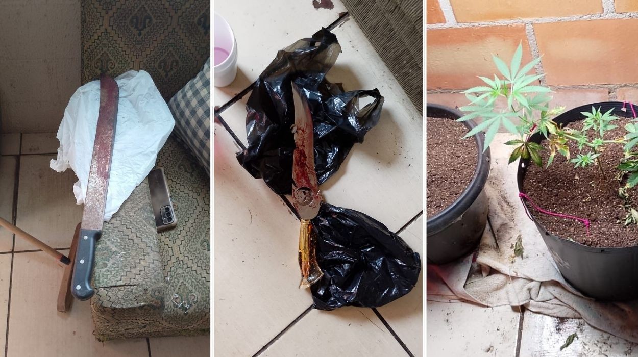 Suspeito de esquartejar o próprio cachorro é preso no interior de SP; pés de maconha são apreendidos