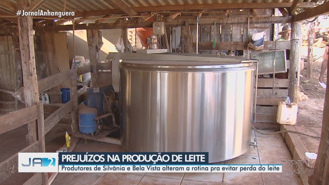 Produtores de leite de Silvnia e Bela Vista esto jogando leite fora por falta de energia